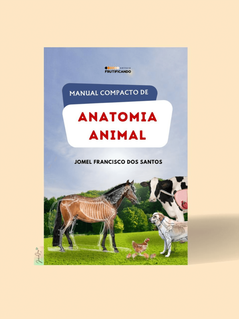 1-LIVRO copiar